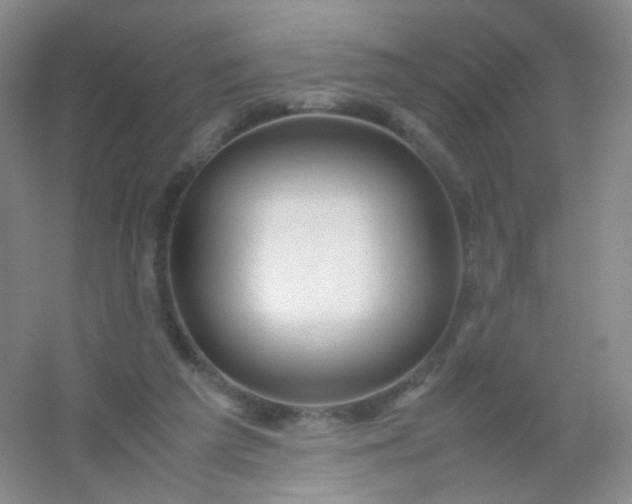 X0000054450209200508121919