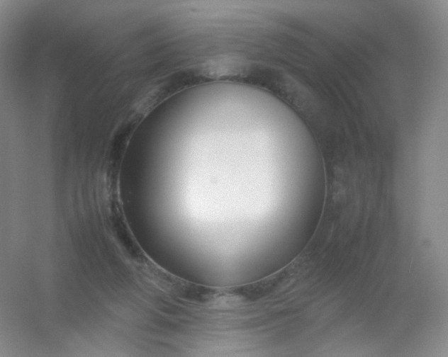X0000054450210200508121919