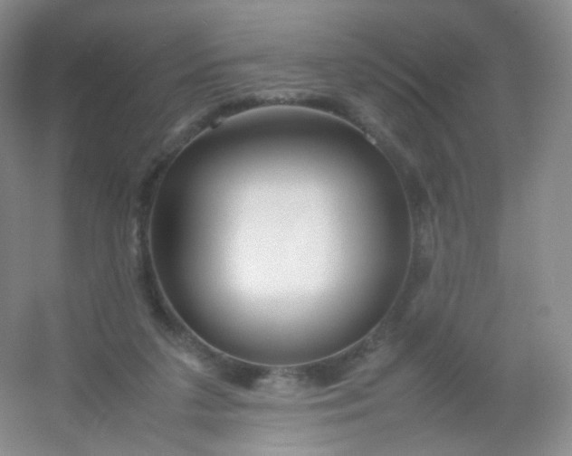 X0000054450211200508121919