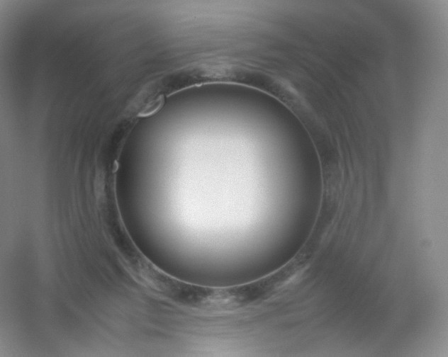 X0000054450213200508121919
