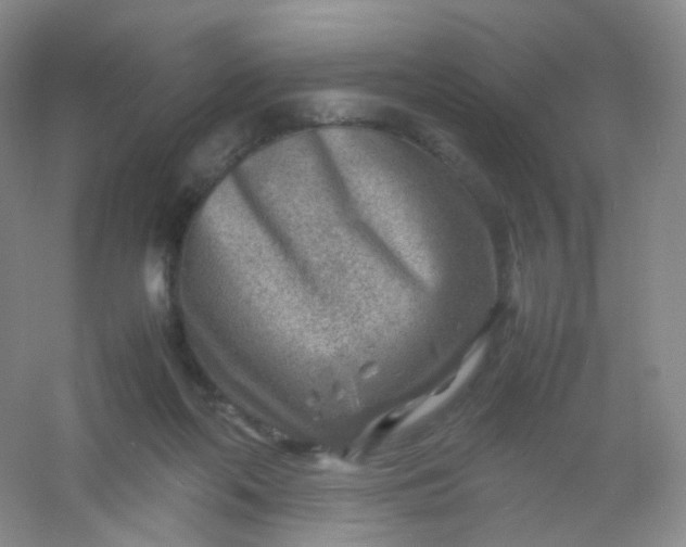 X0000054450214200508121919