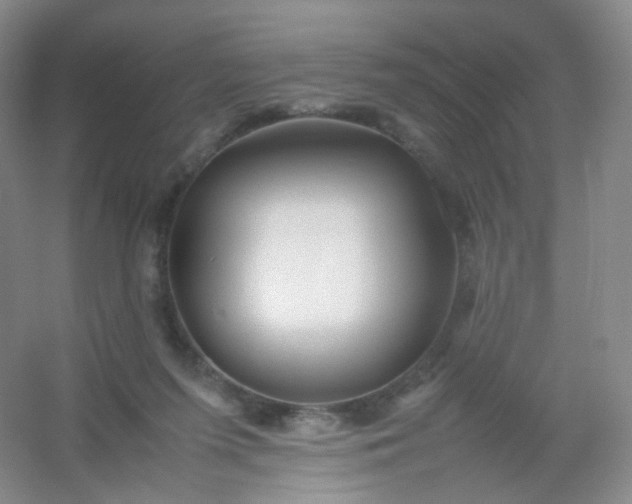 X0000054450215200508121919