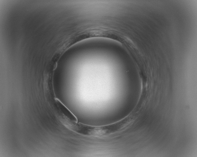 X0000054450217200508121919