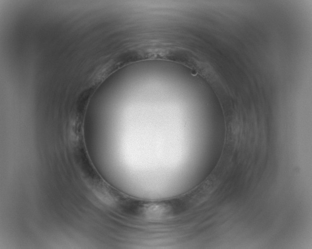 X0000054450218200508121919