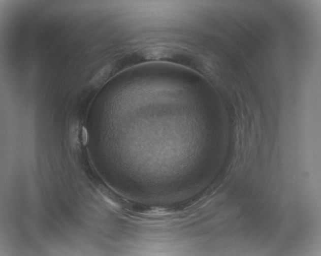 X0000054450219200508121919