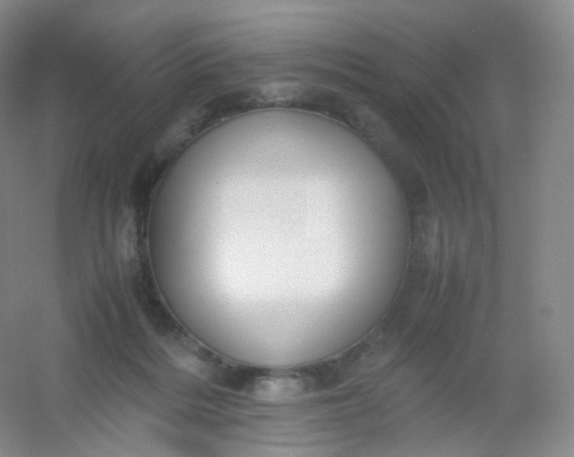 X0000054450220200508121919