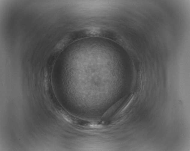 X0000054450223200508121919