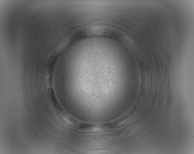X0000054450224200508121919