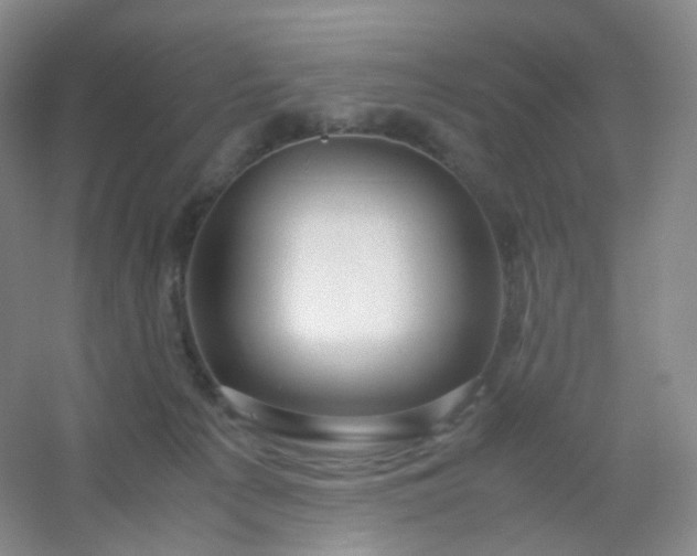 X0000054450225200508121919
