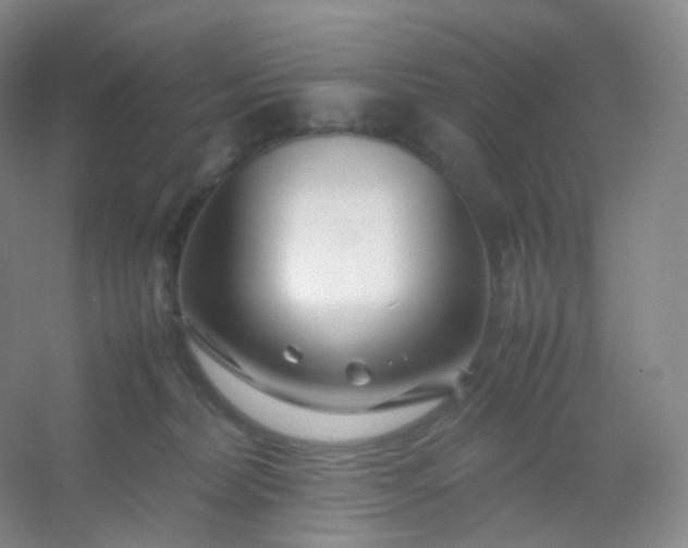 X0000054450228200508121919