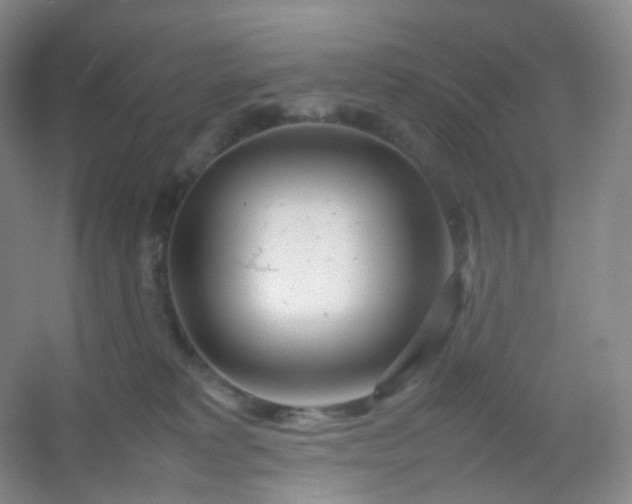 X0000054450229200508121919