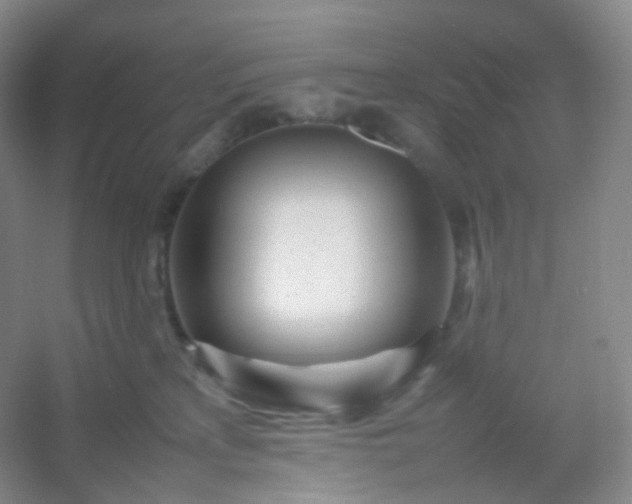 X0000054450233200508121919