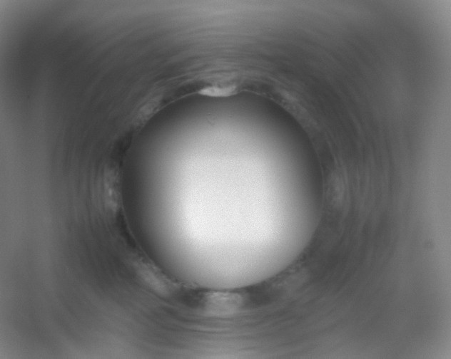 X0000054450234200508121919