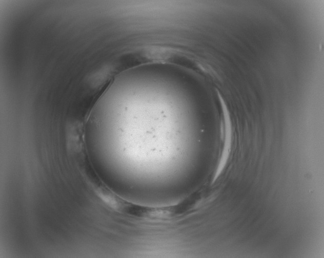 X0000054450237200508121919