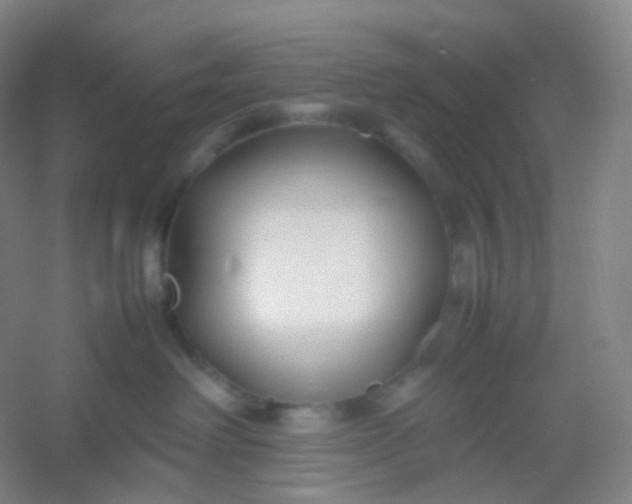 X0000054450238200508121919
