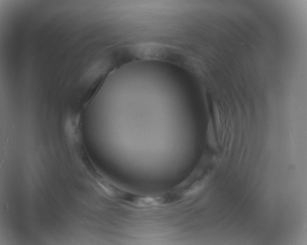 X0000054450239200508121919