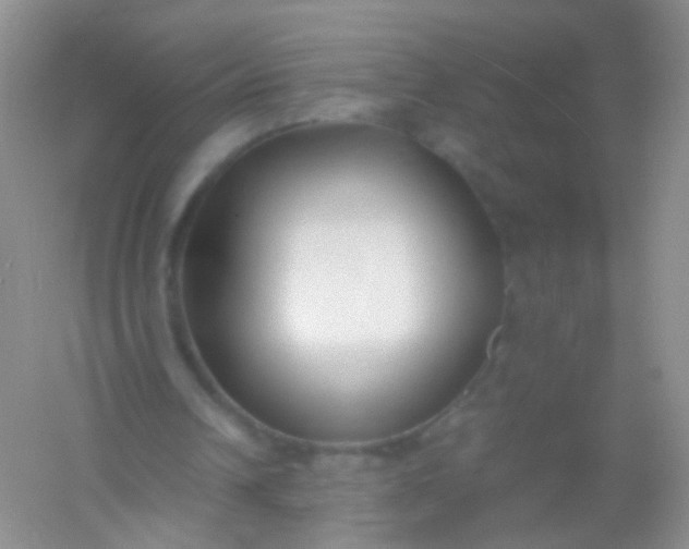 X0000054450242200508121918