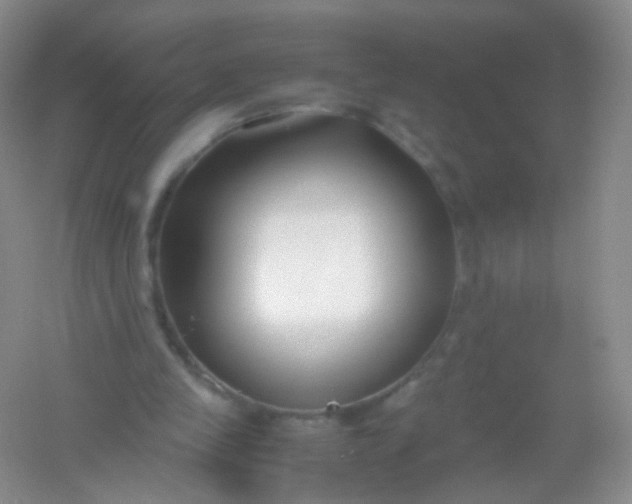 X0000054450245200508121918