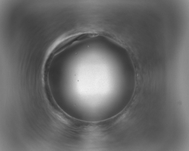 X0000054450246200508121918