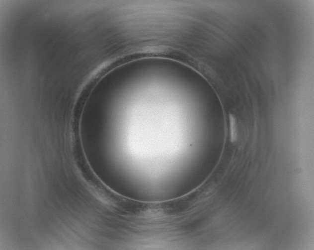 X0000054450252200508121918