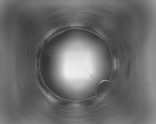 X0000054450253200508121918