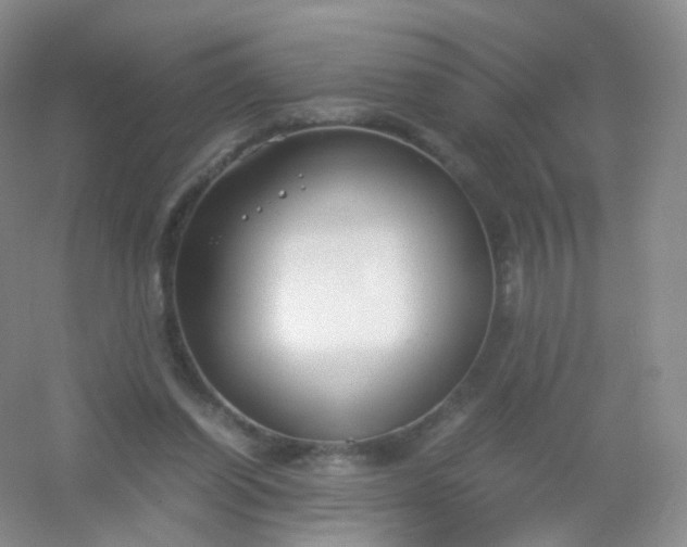 X0000054450254200508121918