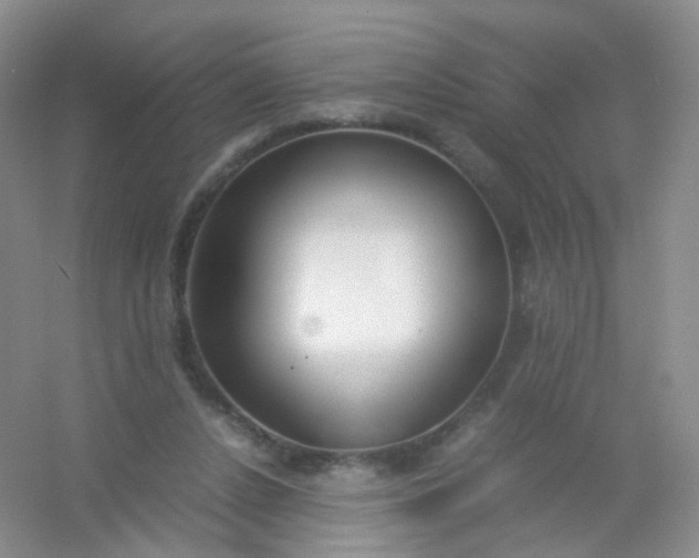 X0000054450256200508121918