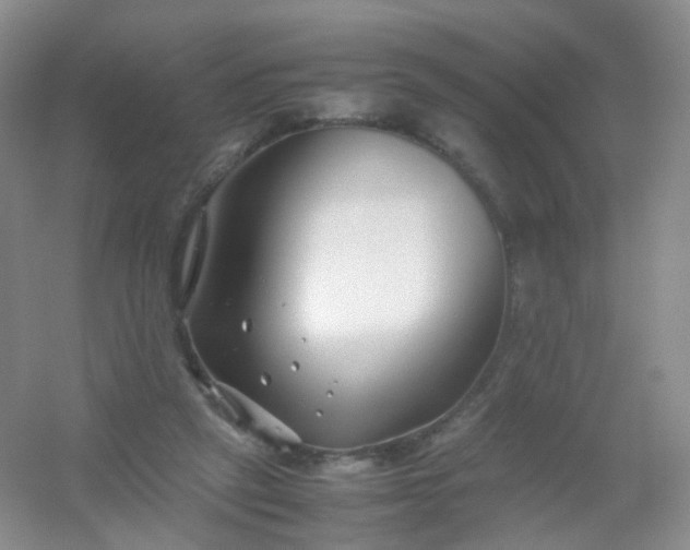 X0000054450257200508121918