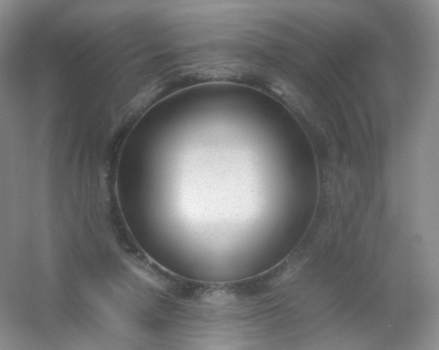 X0000054450258200508121918