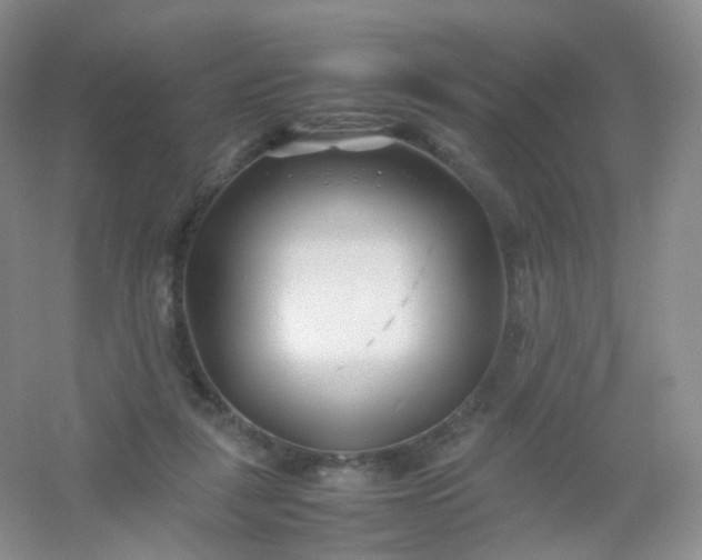 X0000054450259200508121918