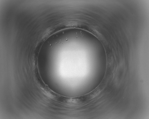 X0000054450261200508121918