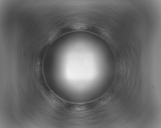 X0000054450263200508121918