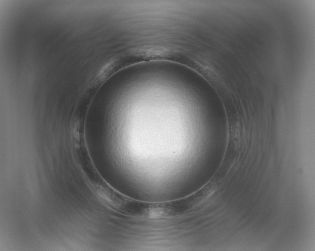 X0000054450264200508121918