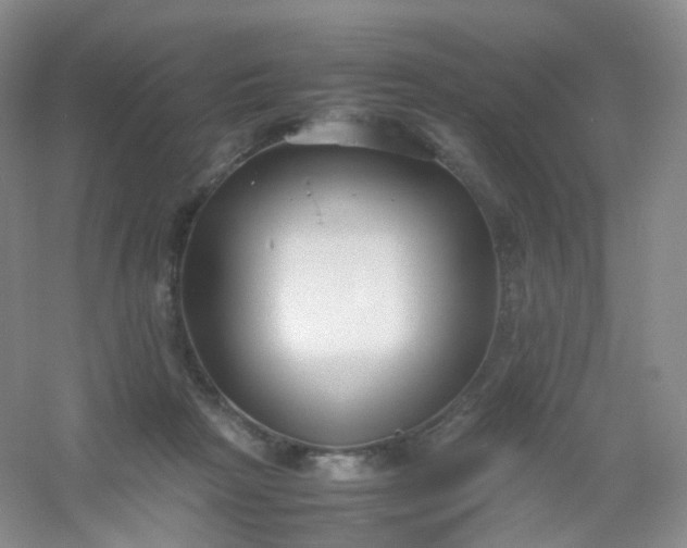 X0000054450265200508121919