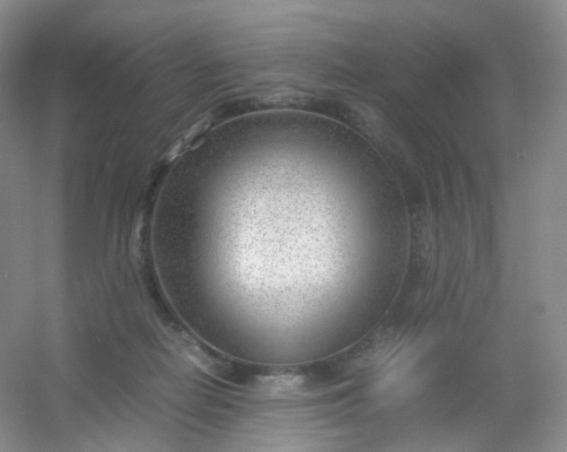 X0000054450266200508121919
