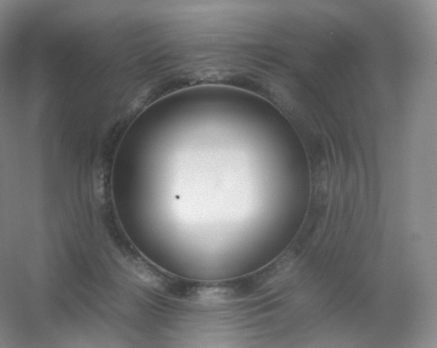 X0000054450268200508121919