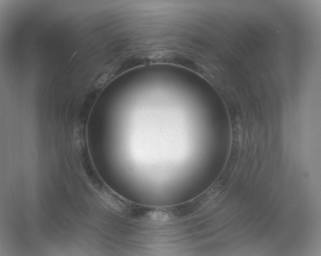 X0000054450272200508121919