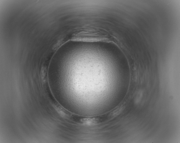 X0000054450273200508121919