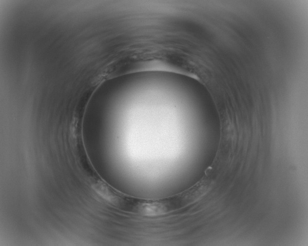 X0000054450275200508121919