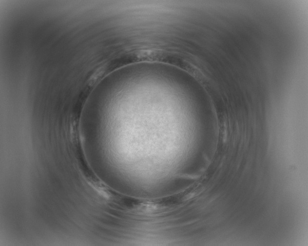 X0000054450276200508121919