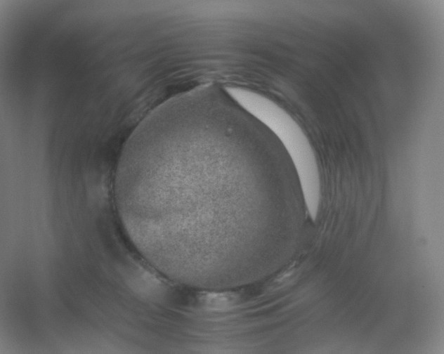 X0000054450277200508121919