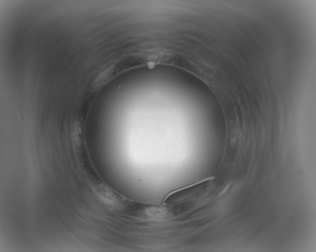 X0000054450279200508121919
