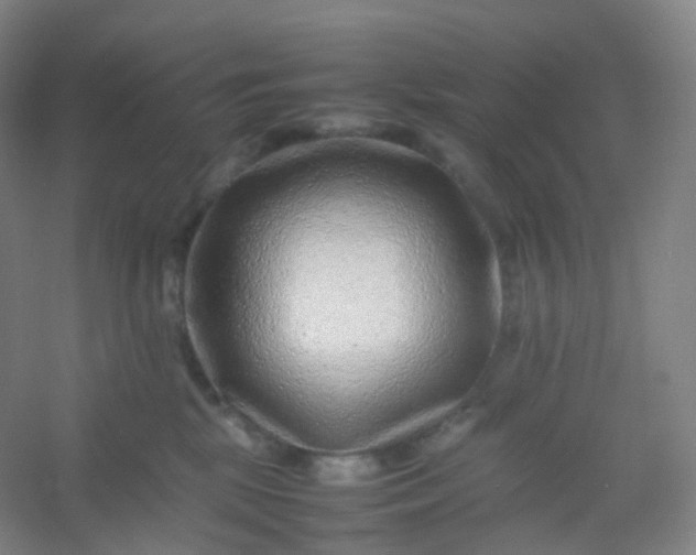 X0000054450281200508121919