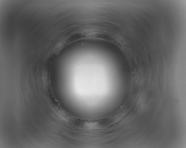 X0000054450283200508121919