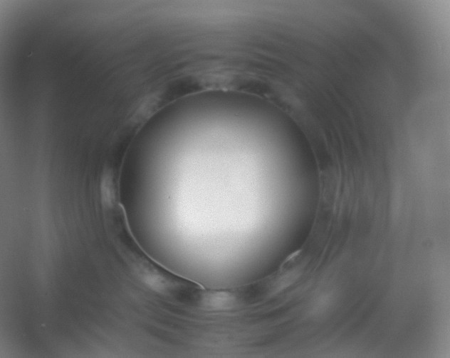X0000054450287200508121919