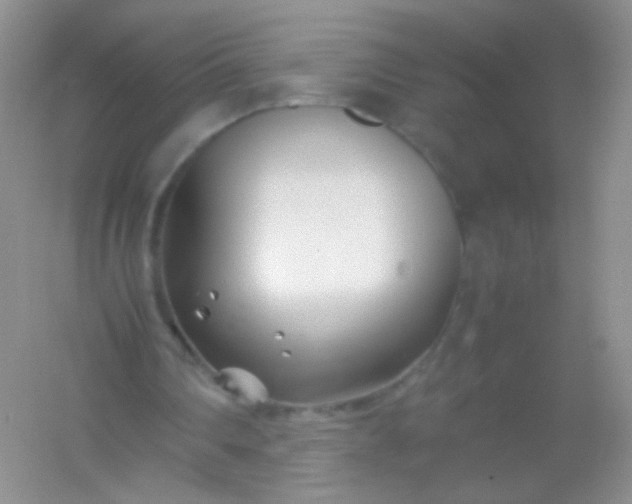 X0000054450290200508121918