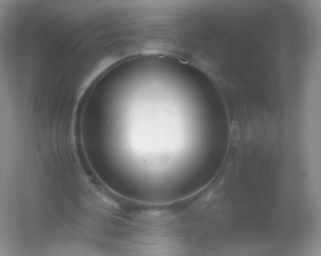 X0000054450292200508121918