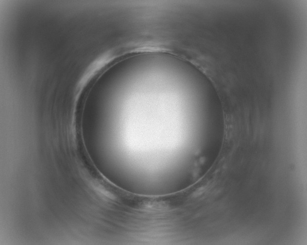X0000054450296200508121918