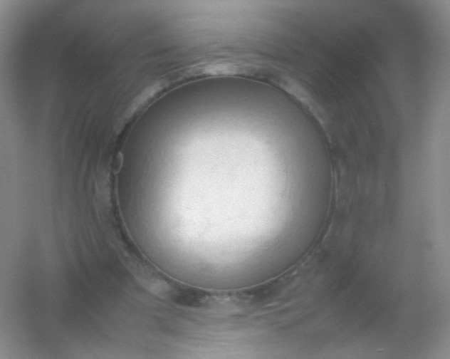 X0000054450297200508121918
