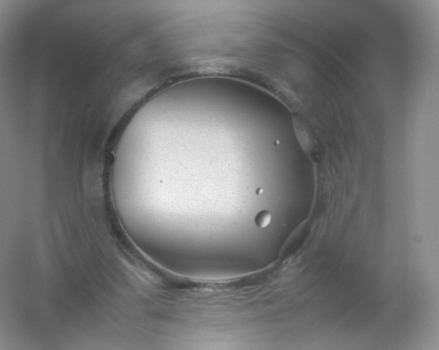 X0000054450299200508121918
